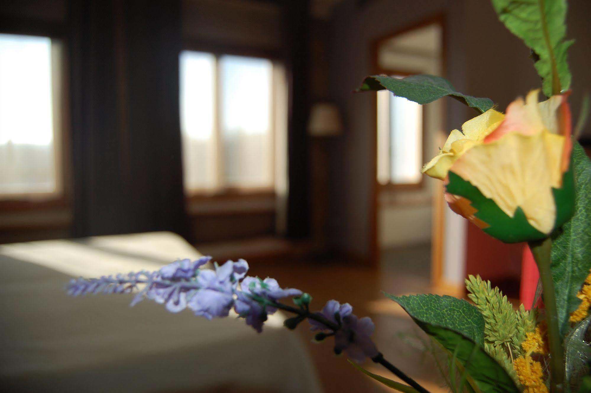 Hotel Moli De La Torre Bigues I Riells Ngoại thất bức ảnh